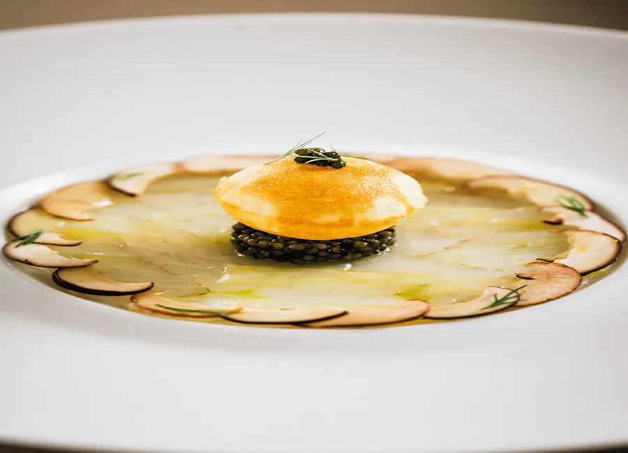 Le jardin marin, deuxième service, en nage