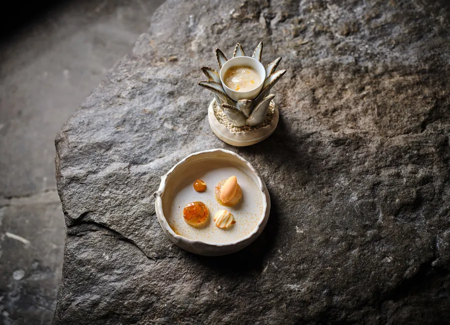 La langoustine carpaccio, sorbet et gel pamplemousse, bille stracciatella et siphon pamplemousse – aloé véra