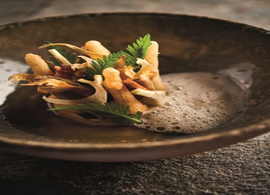 Sur un caviar d’aubergines, huîtres « gillardeau n°2 » juste raidies, laitue celtuce et pousses acidulées