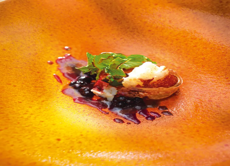 Homard bleu de bretagne, extraction de baies de cassis
