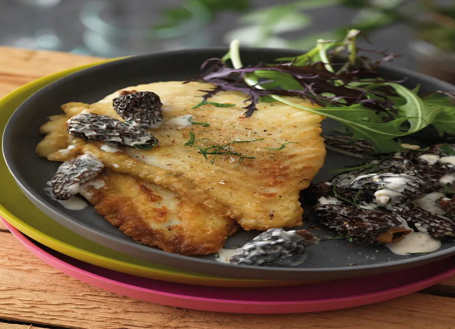 Filet de turbot aux morilles