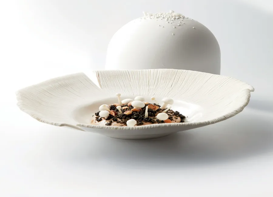 Le champignon de paris