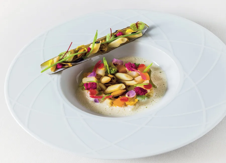 Moules, palourdes, couteaux cuits en marinière