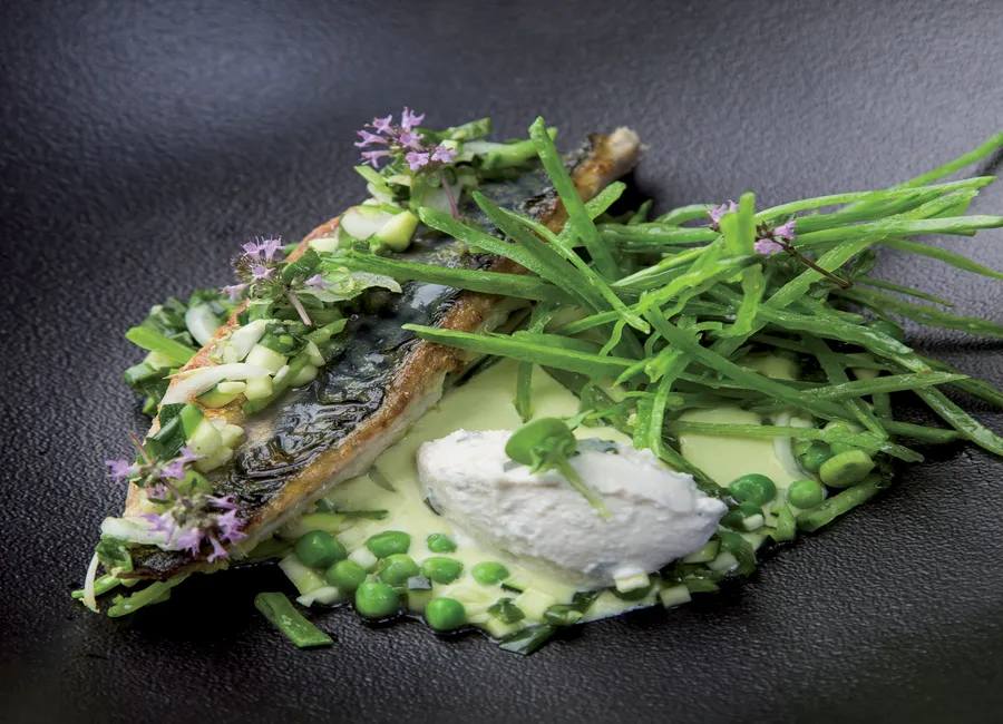 Filet de maquereau à la plancha, petits pois ricotta