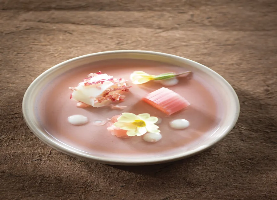 Rhubarbe à la racine de primevère
