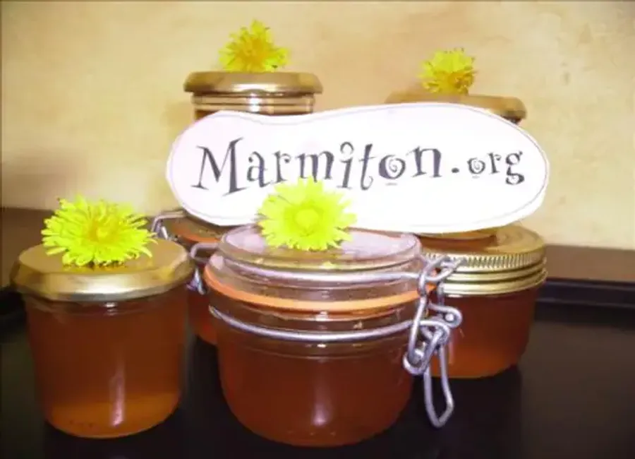 Cramaillotte (confiture de pissenlits)
