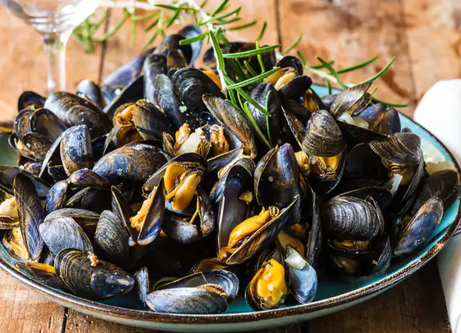 Eclade de moules (laurier)