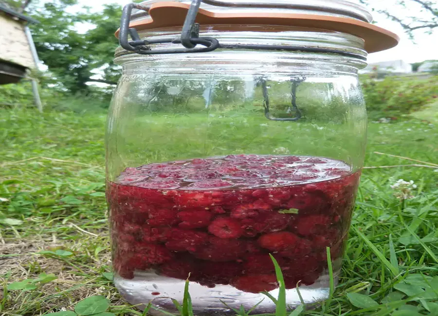 Liqueur de framboises