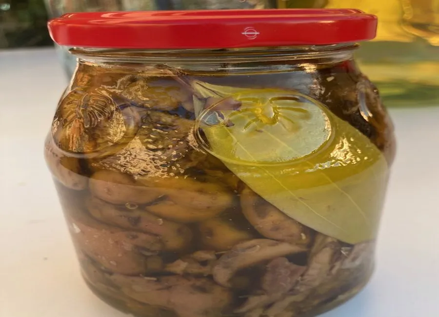 Champignons (cèpes et sanguins) en bocaux