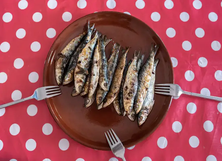 Anchois au sel