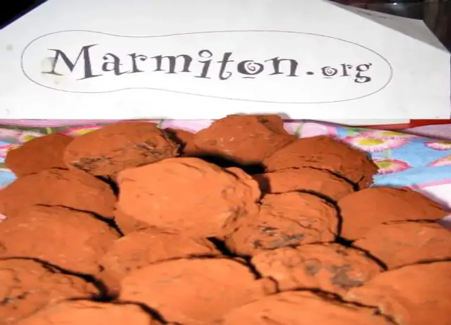 Bouchées de chocolat à la fève tonka (3ème rencontre marmiton)