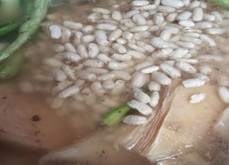 Potée de chou à la jambette et lard fumé