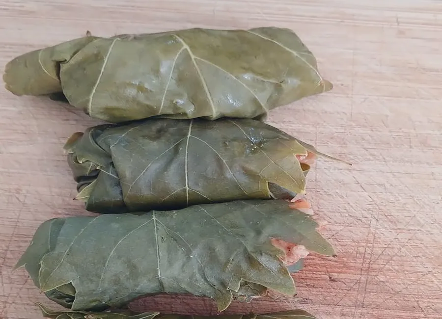 Feuilles de vignes farcies (sarma)