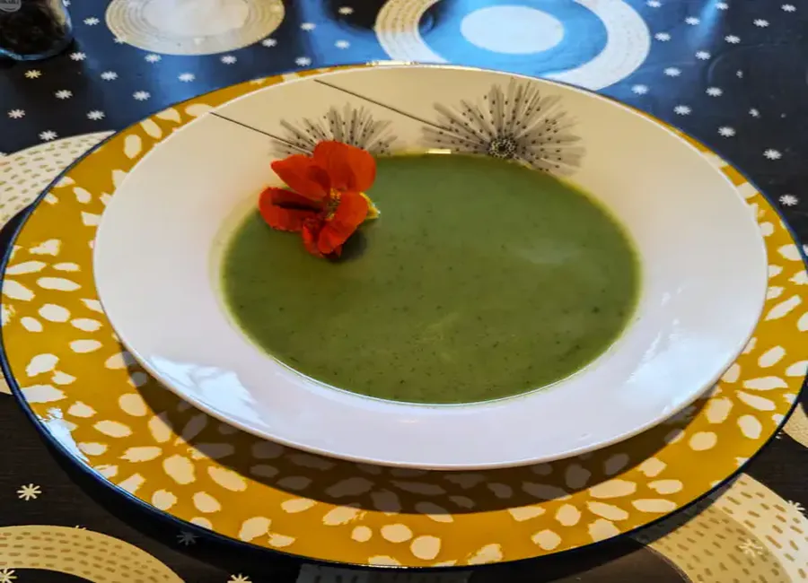 Soupe de capucines