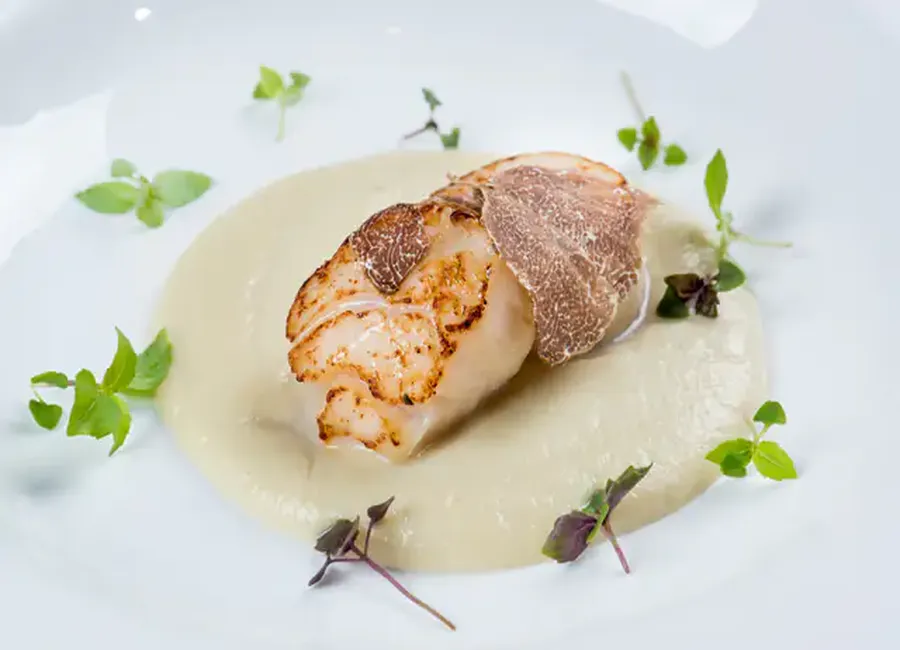 Noix de saint-jacques poêlées aux truffes