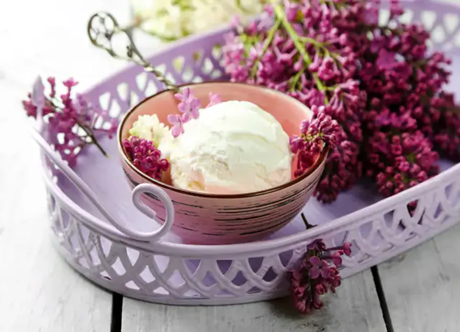 Sorbet au chocolat blanc et violette
