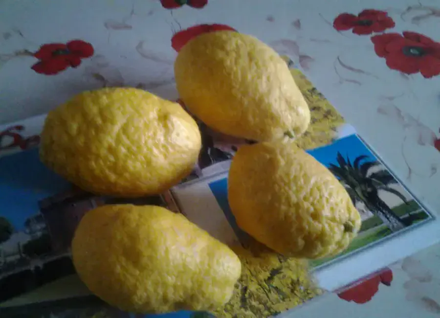 Confiture de cédrat