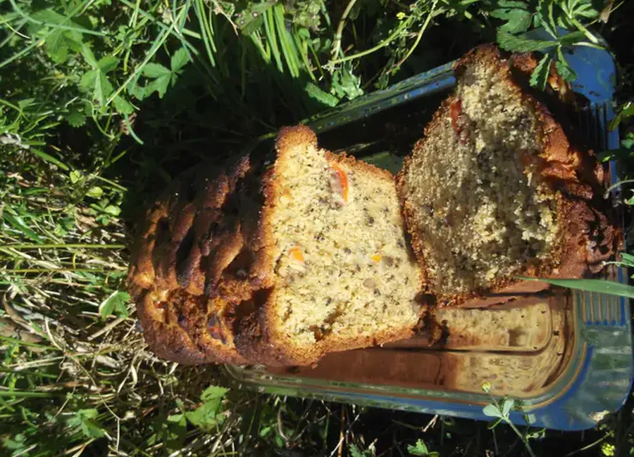 Cake abricots frais et noix