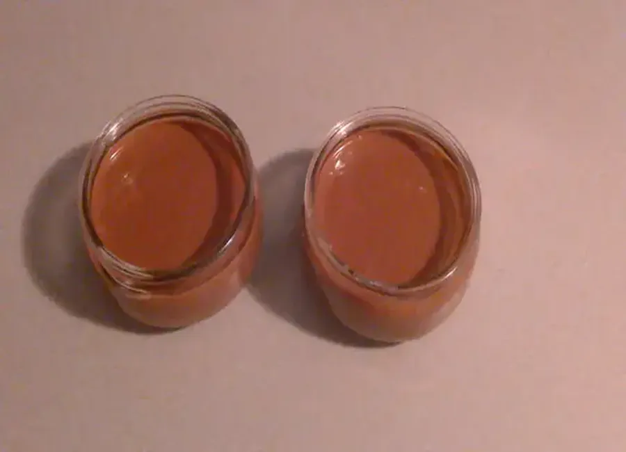 Crème dessert façon danette au nutella