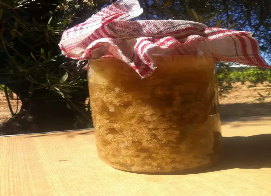Limonade maison au sureau
