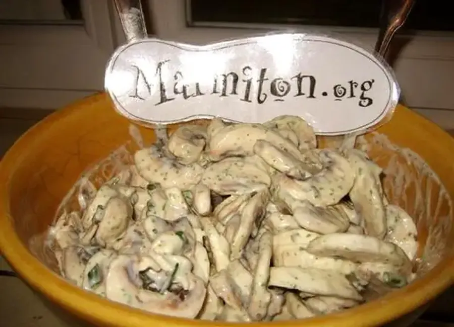 Salade de champignons crus à la crème