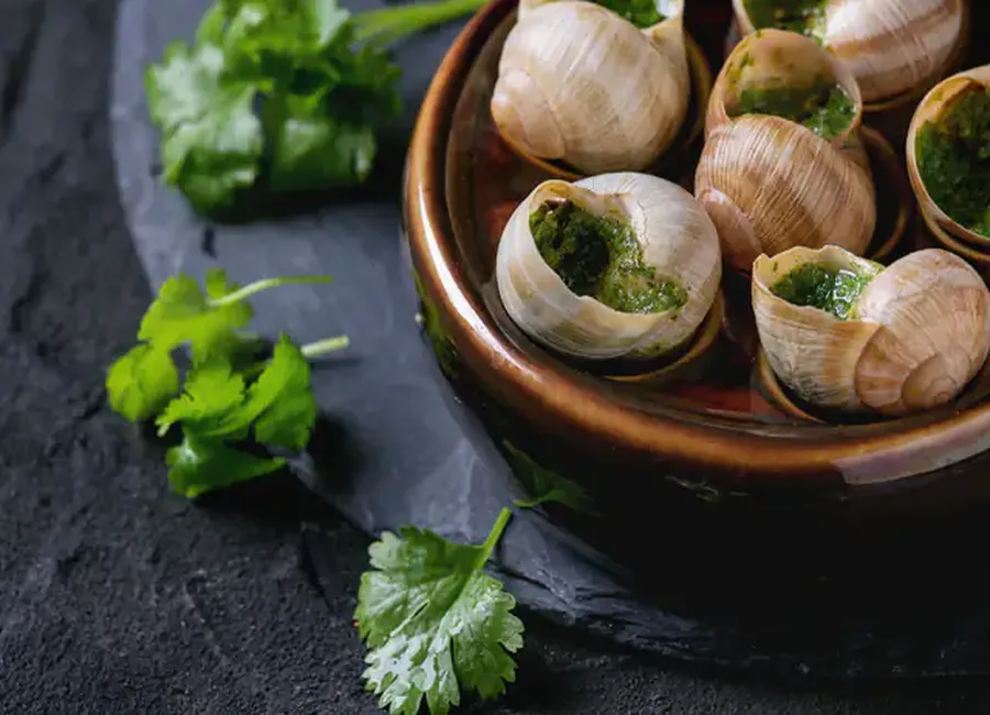 Mes escargots à l'alsacienne
