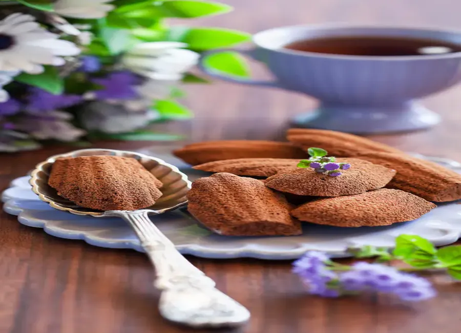 Madeleines tout chocolat
