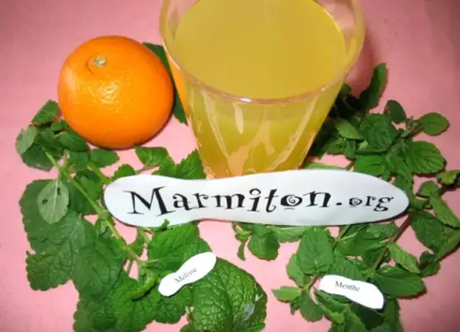 Boisson miraculeuse d'elvire à la mélisse