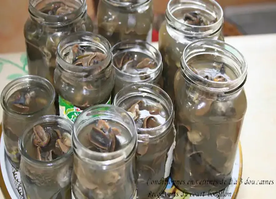 Conserves d'escargots