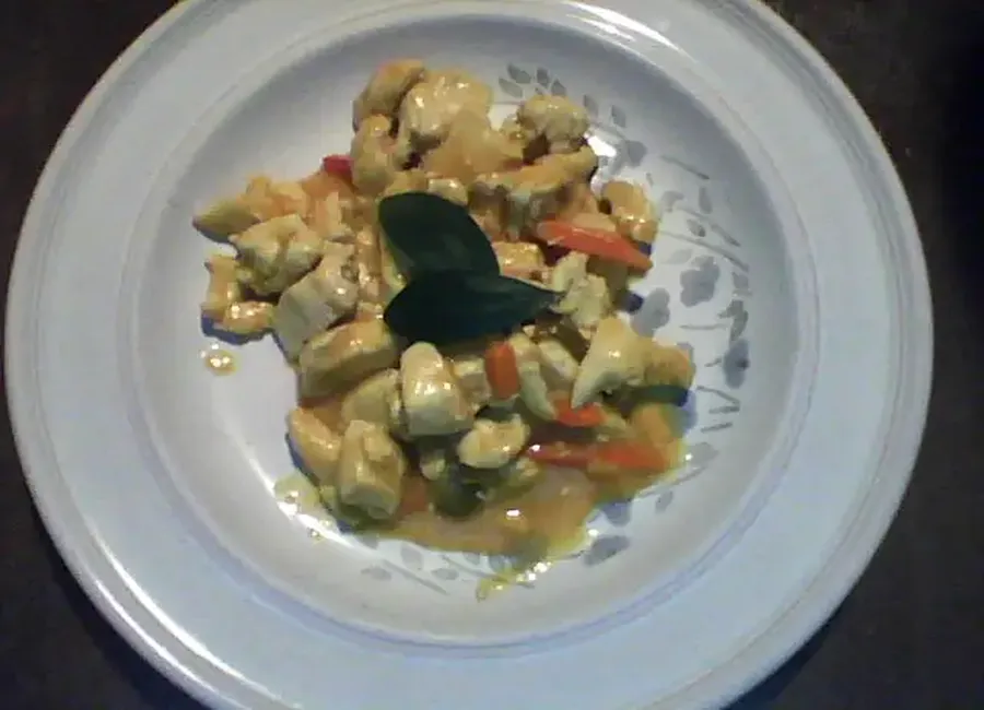Poulet au curry de légumes