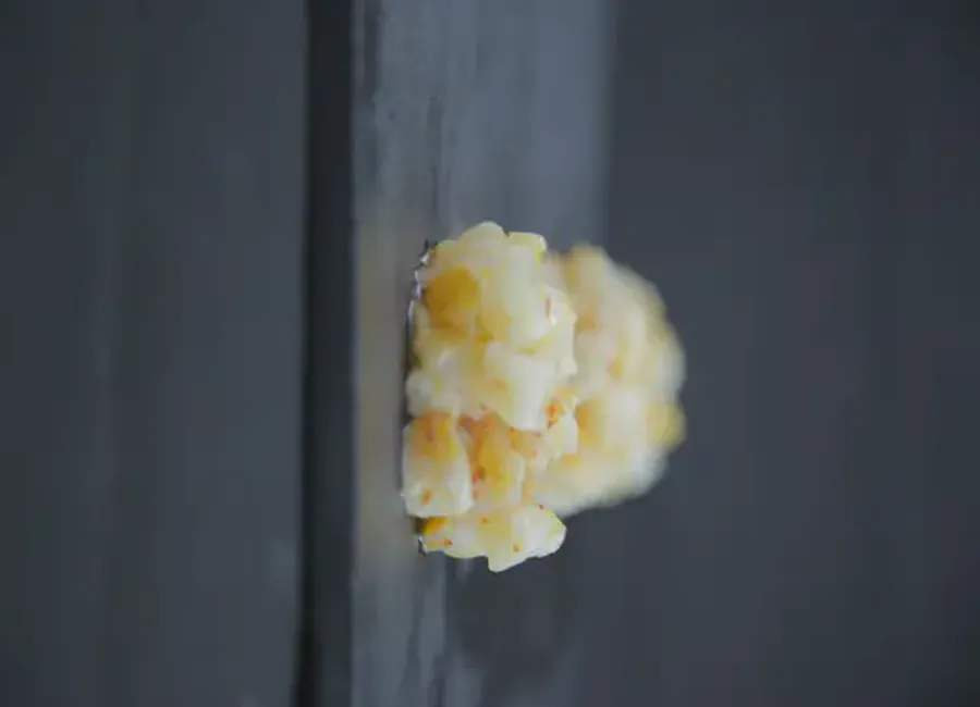 Tartare du capitaine : haddock au piment d'espelette