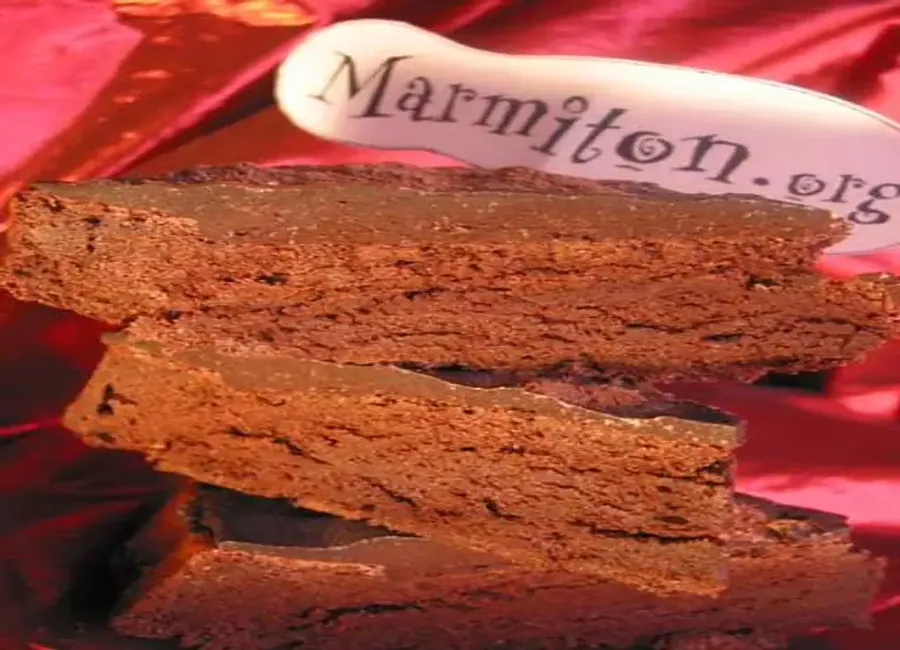 Mon gâteau de fête ' mousse au chocolat '