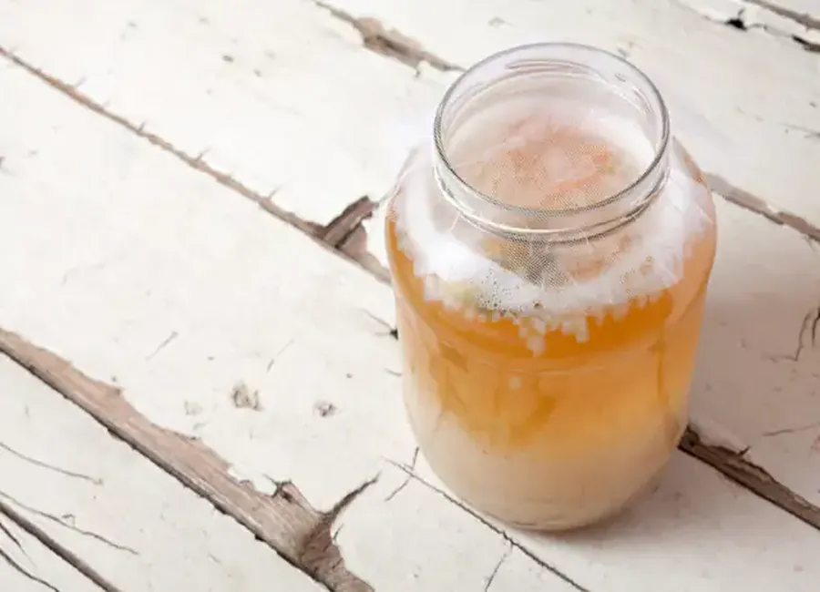 Kéfir de fruits (type limonade à l'ancienne)