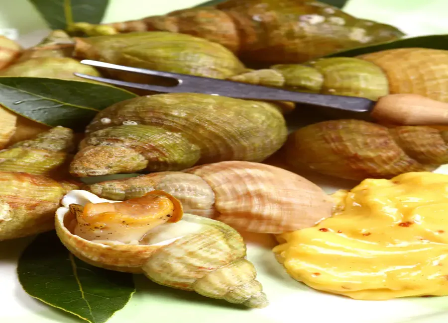 Bulots mayonnaise