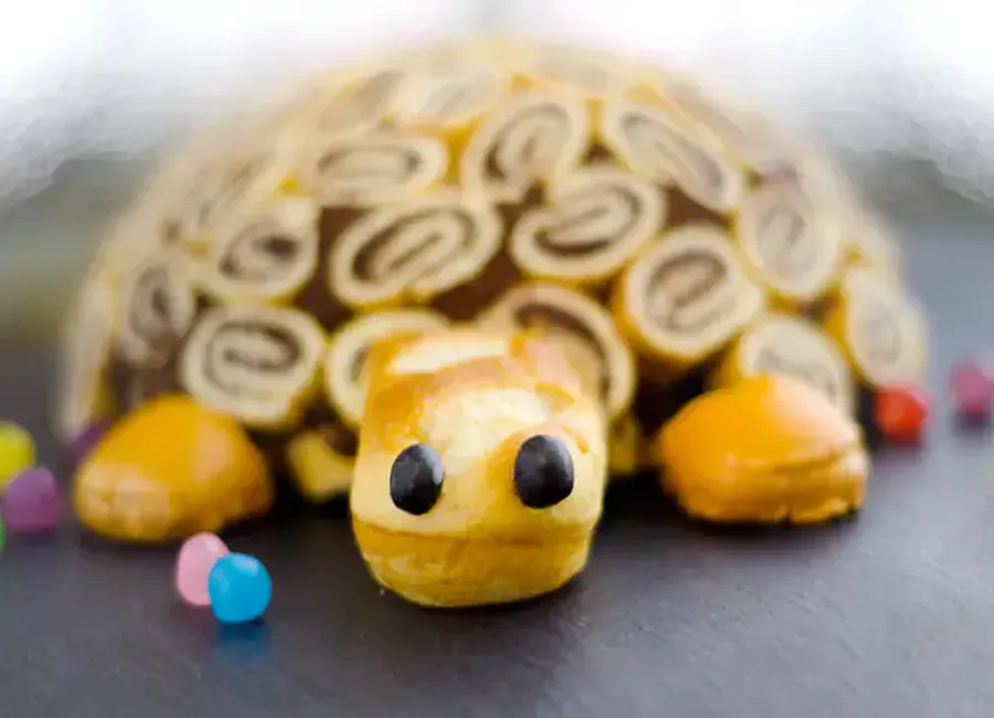 Charlotte la tortue poire chocolat