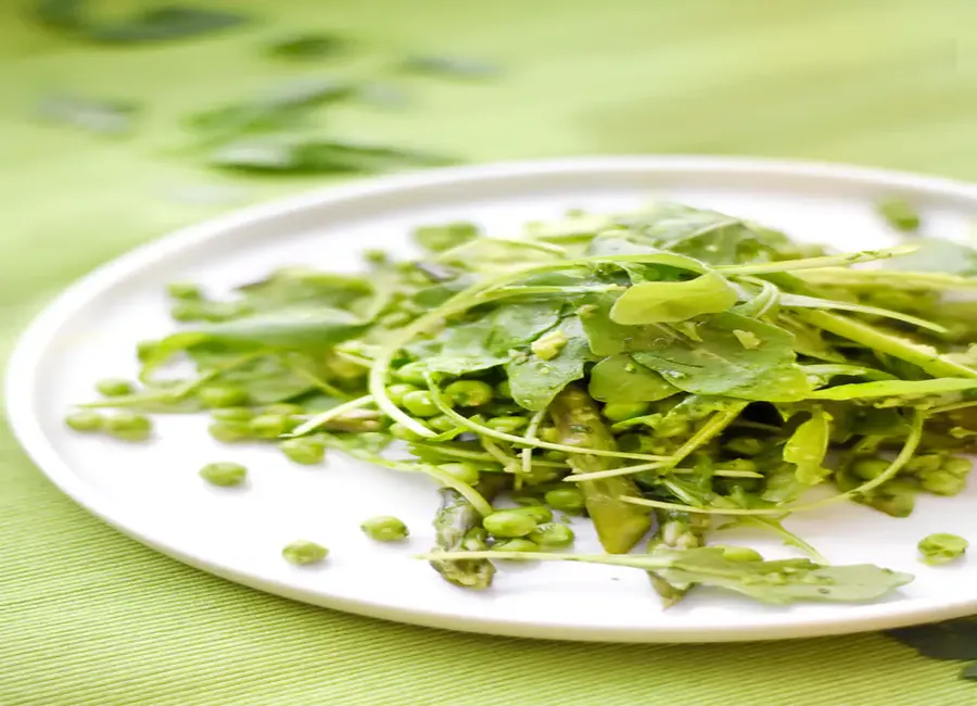 Salade toute verte du printemps