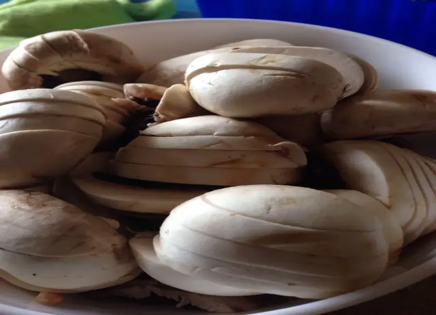 Sauce au vin et aux champignons
