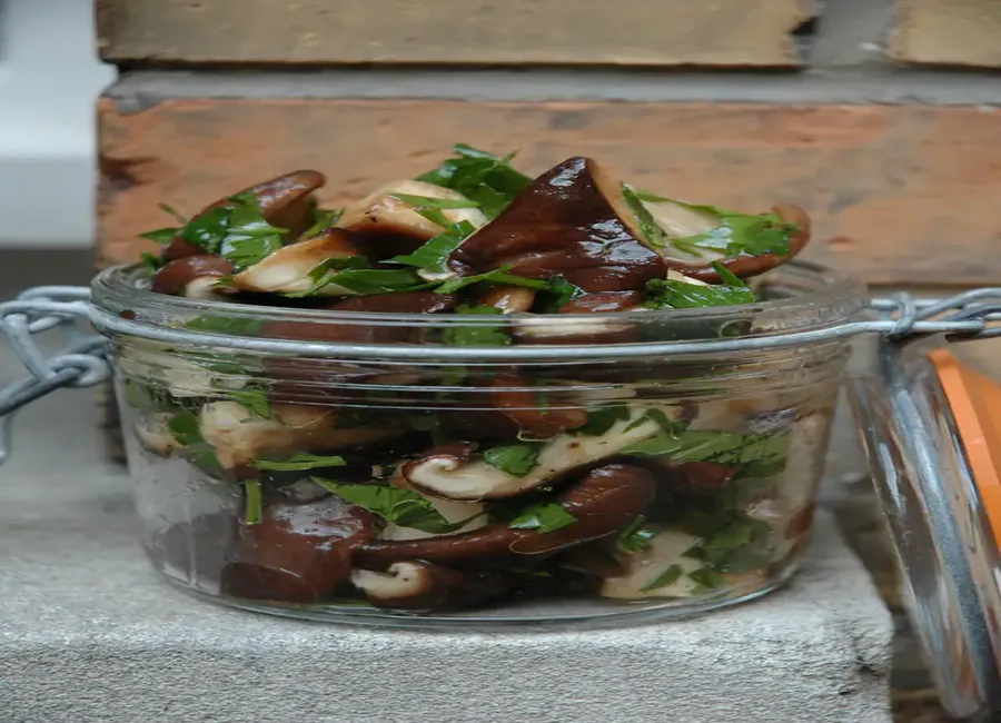 Salade de shii-také aux fines herbes