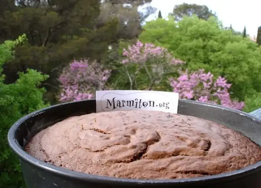 Gâteau moelleux chocolat noisettes