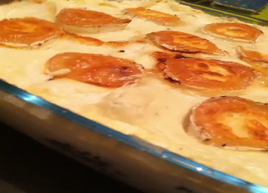 Lasagnes au saumon, chèvre et épinards