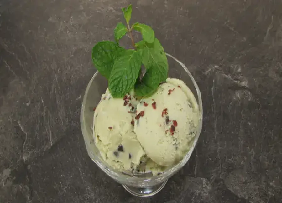 Glace à la menthe aux pépites de chocolat
