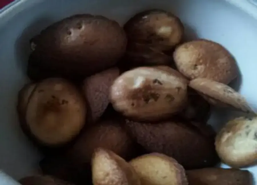 Madeleines aux fruits confits