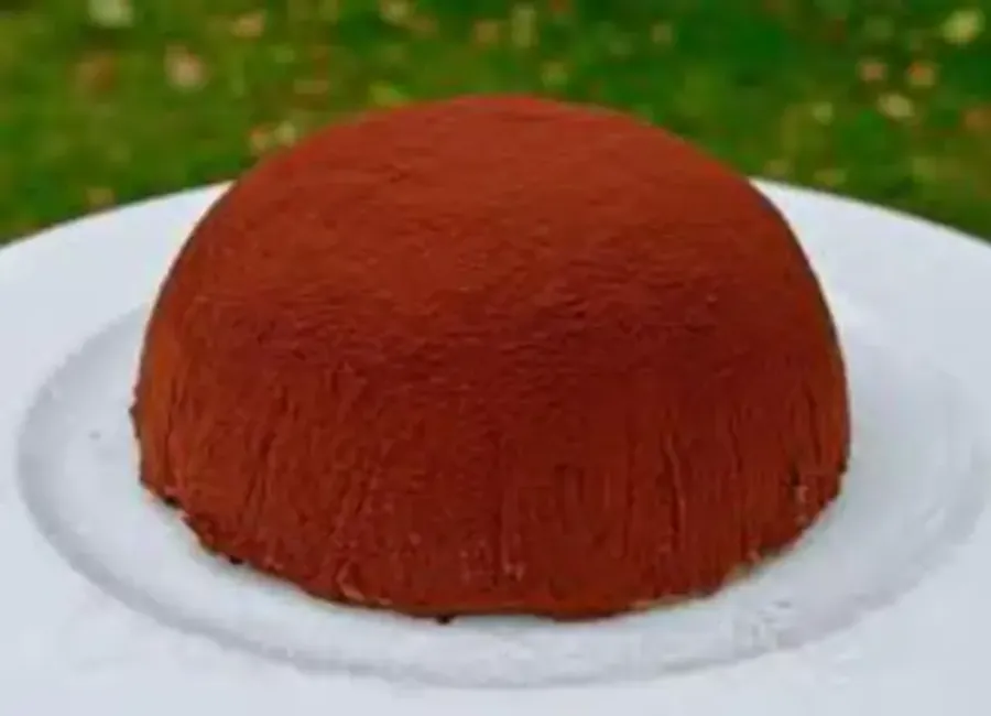 Bombe glacée au chocolat.