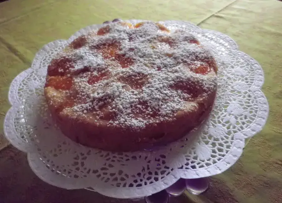 Moelleux aux abricots