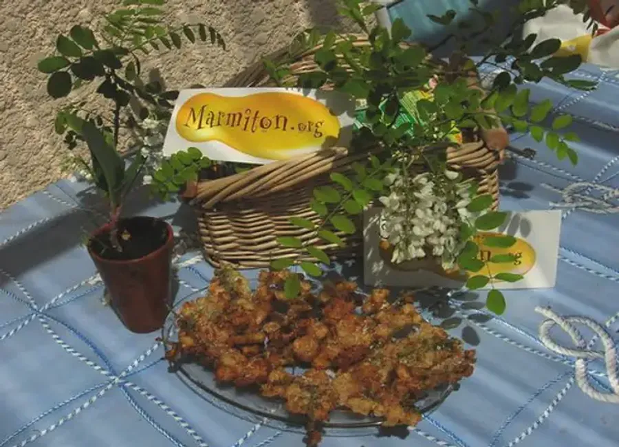 Beignets de fleur d'acacia