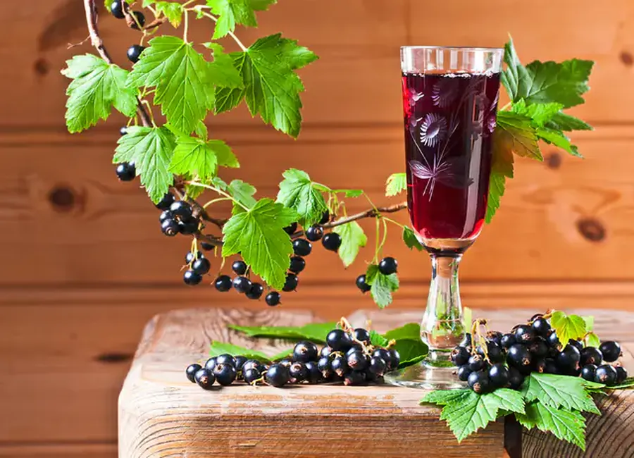 Vin de groseilles