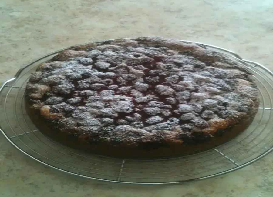 Gâteau à la faisselle noix de coco framboises
