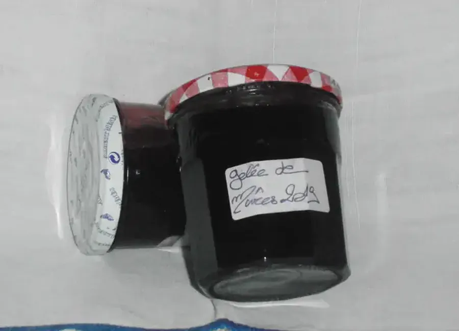 Gelée de mûres sauvages