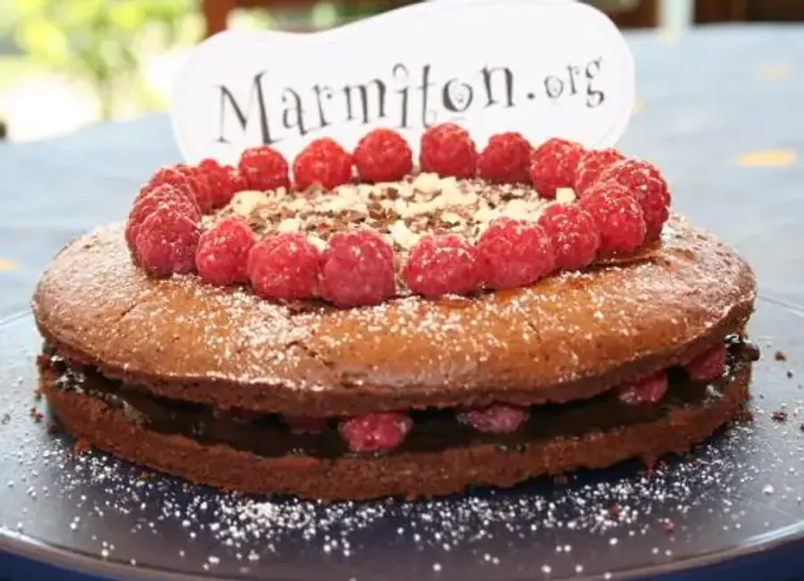 Gâteau au chocolat fourré aux framboises