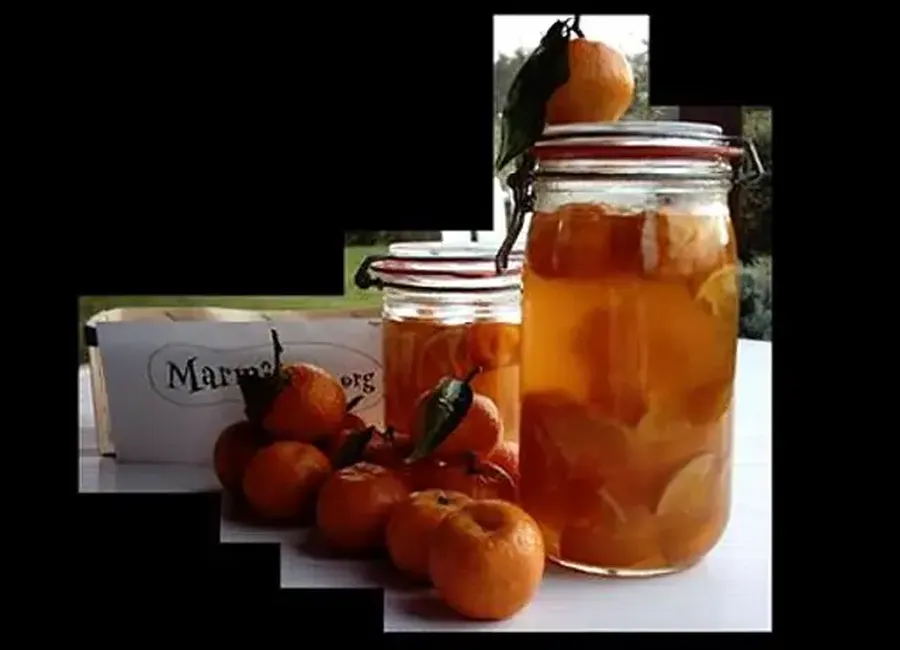 Rhum arrangé aux mandarines